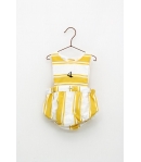 Ranita rayas amarillas Foque