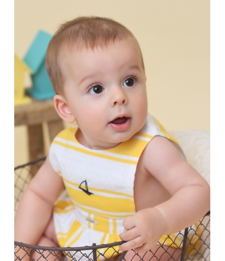 Ranita rayas amarillas Foque